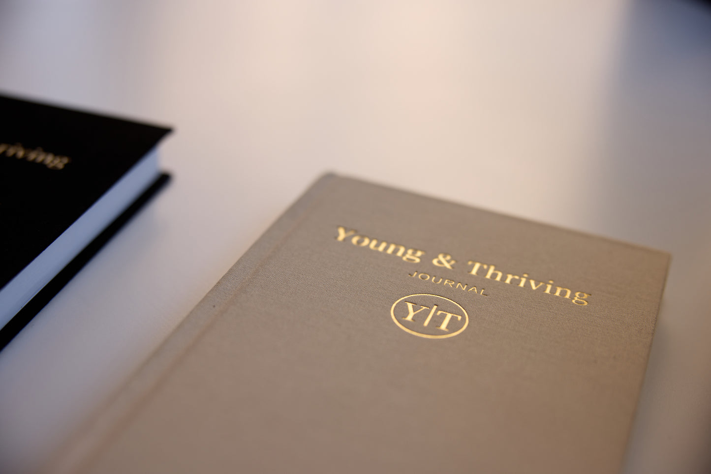 YOUNG AND THRIVING JOURNAL