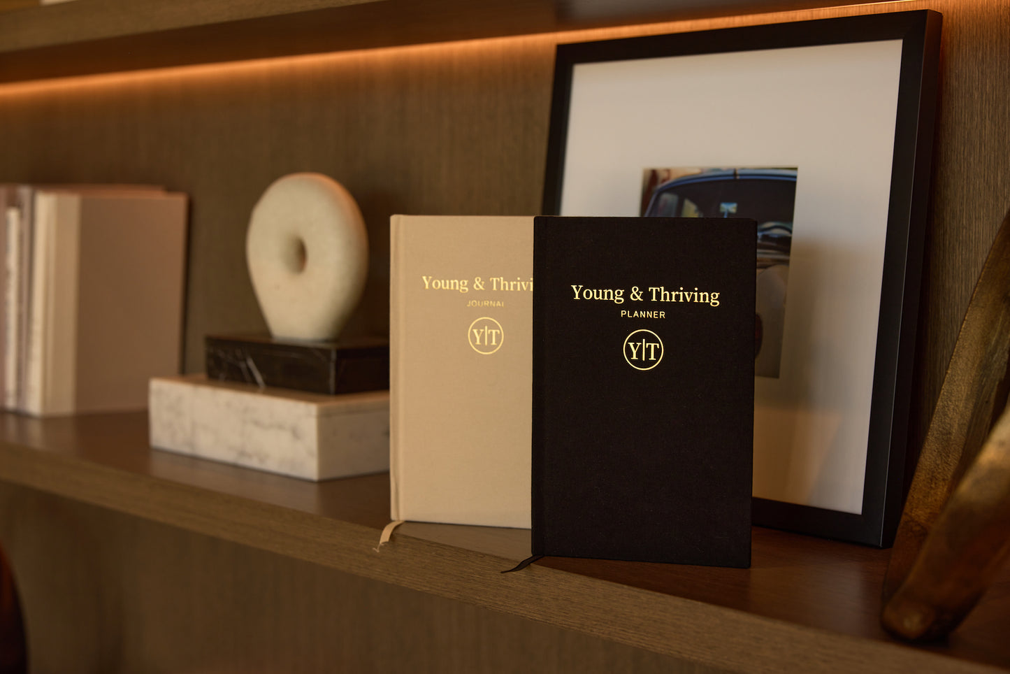 YOUNG AND THRIVING JOURNAL